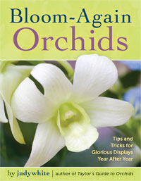 Best Orchid Culture Book - New from judywhite, author of Taylor's Guide to Orchids