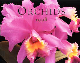Orchid Calendar photos by judywhite